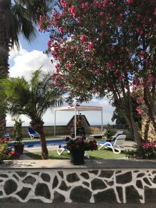 a park with a bench and a tree with pink flowers at Finca el Cortijo in San Miguel de Abona