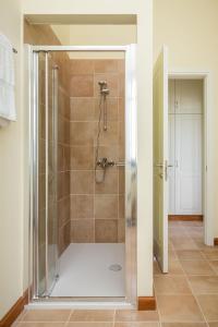 a shower with a glass door in a bathroom at VILLA MYLOS in Danilia
