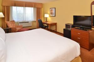 a hotel room with a bed, television and a dresser at Holiday Inn Stevens Point - Convention Center, an IHG Hotel in Stevens Point
