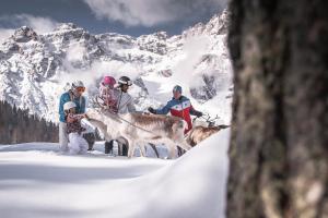 Gäste, die in der Unterkunft Loewe Dolomites übernachten