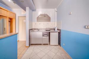 Кухня или кухненски бокс в Apartments Singidunum 4 Lux