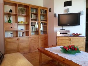 a living room with a tv and a coffee table at Akra in Zakopane