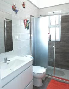 リスボンにあるApartament's Veiga Areeiroのバスルーム(トイレ、洗面台、シャワー付)