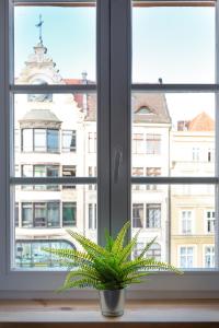 Zdjęcie z galerii obiektu LiPsTiCk HoUsE RyNeK we Wrocławiu