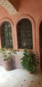 a building with two windows and a potted plant at Hotel Salsabil in Marrakech