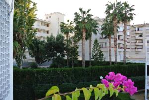 Zahrada ubytování Beach Flat Albir,Esmeralda