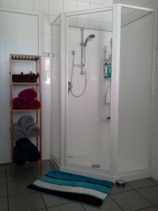 a shower with a glass door in a bathroom at The Little Gem in Waitara