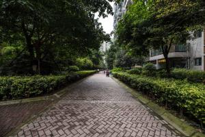 a cobblestone path in a park with trees and buildings at Chengdu Qingyang·Kuanzhai Alley· Locals Apartment 00170590 in Chengdu
