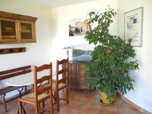 a dining room with a table and a potted plant at Le Plateau de la Danse in Saint-Victor-sur-Loire