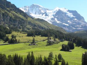 a green field with a mountain in the background at Guest Rooms with a great view at Residence Brunner in Wengen
