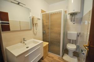 łazienka z toaletą, umywalką i prysznicem w obiekcie Jurica Apartments w mieście Novigrad