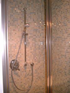 y baño con ducha y azulejos marrones. en Haus Ferienromantik, en Pirna