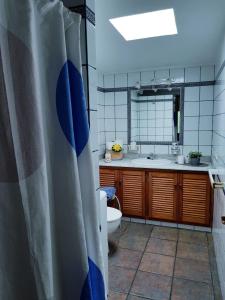 洛斯利亞諾斯德亞里達內的住宿－Casa Óscar，一间带卫生间、水槽和镜子的浴室