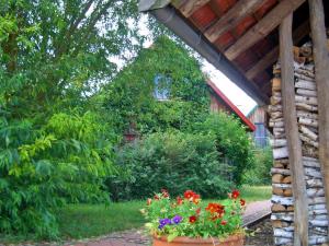 Billede fra billedgalleriet på Ferienhof Brune i Zempow + 9 billeder