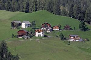 Příroda nedaleko apartmánu