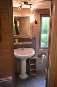 a bathroom with a sink and a mirror at LES GITES INSOLITES DE LA CASCADE in Lespesses +18 photos