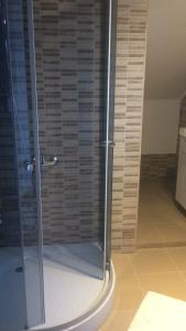 a shower with a glass door in a bathroom at Buşteni House in Buşteni