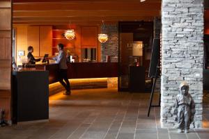 Gallery image of Copperhill Mountain Lodge in Åre