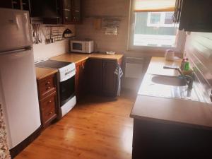 uma cozinha com um lavatório e um fogão forno superior em Apartmány U Aničky em Lipova Lazne
