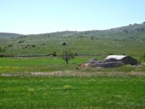 an old building in a field of green grass at Hotel Yria in Vieste