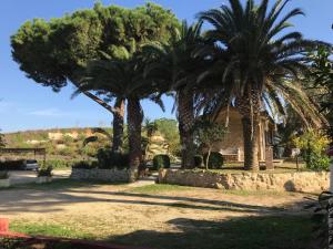 a group of palm trees in front of a house at Agriturismo Il Poderino in Tarquinia