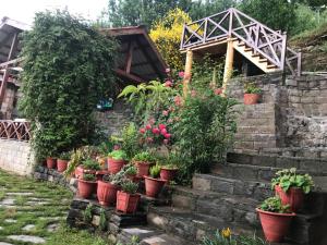 Himalyan Kothi Kais外面的花园