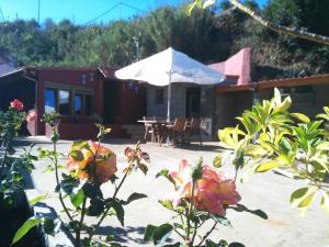 Zahrada ubytování Chalet Ruta Las Lagunetas