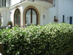 Zahrada ubytování Ilios Residence