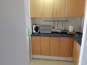 A kitchen or kitchenette at Apartamentos Minerva- Jupiter