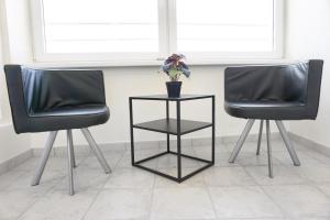 duas cadeiras pretas e uma mesa com uma planta em Rooftop Deluxe apartment em Praga