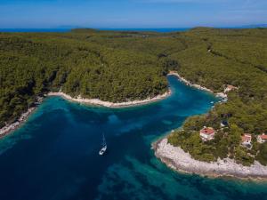 una isla con un barco en el agua en Villa Rosada, en Vela Luka 27 fotos más