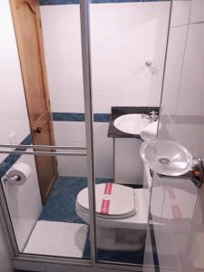 Hotel Del Parque في لا سيجا: حمام صغير مع مرحاض ومغسلة