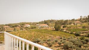 Blick auf einen Weinberg vom Balkon eines Hauses in der Unterkunft Suites Do Pinhal in Proença-a-Nova
