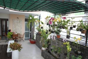 Zahrada ubytování Ngoc Minh Hotel