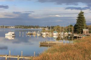 a group of boats docked at a dock on a lake at Boathouse - Birks River Retreat in Goolwa