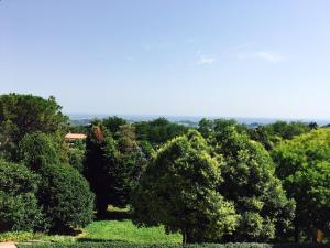 een uitzicht over een bos van bomen bij Villa Scalabrini in Crespano del Grappa