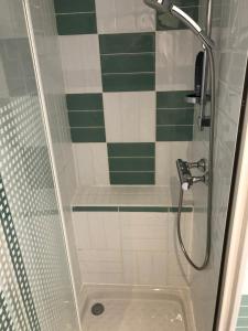 a shower with a glass door and a sink at 2 chambres dans maison calme proches des châteaux de la Loire in Veigné