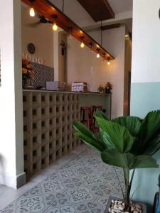 a restaurant with a counter and a potted plant at Summer Bliss Boutique in Siem Reap