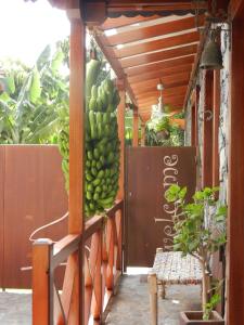 a bunch of green bananas hanging from a building at Caserío de la Playa - Adults Only in Valle Gran Rey