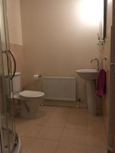 uma casa de banho com um WC e um lavatório em Silverhill House Apartment em Enniskillen
