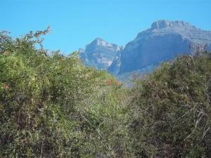 a view of the mountains with trees in the foreground at Aloes Bush Stay in Hoedspruit
