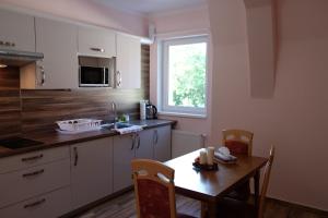 Kuchyňa alebo kuchynka v ubytovaní Diana Apartments Karlovy Vary