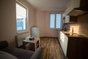 Kuchyňa alebo kuchynka v ubytovaní Diana Apartments Karlovy Vary