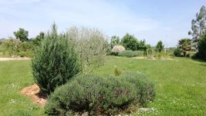 Κήπος έξω από το LE GRAND PARADIS