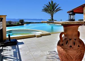 a large vase sitting next to a swimming pool at ELITE Amazing Villa, by Coral Sun Villas in Polis Chrysochous