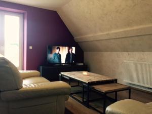 ein Wohnzimmer mit einem Sofa und einem TV in der Unterkunft Meublés de Tourisme Heidelbeere in Dambach