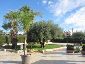 A garden outside Hotel Continental