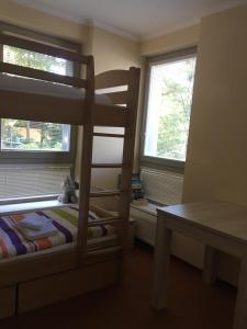 1 dormitorio con litera y 2 ventanas en Apartment Draco, en Harrachov