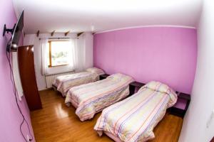 three beds in a room with purple walls at Isla de Lagos II in Ushuaia