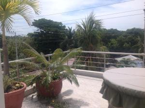 a balcony with a table and palm trees at Lili House in San Andrés